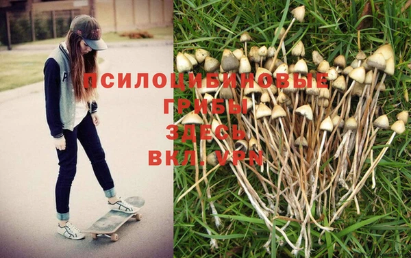 скорость Алзамай