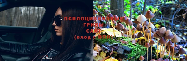 скорость Алексеевка