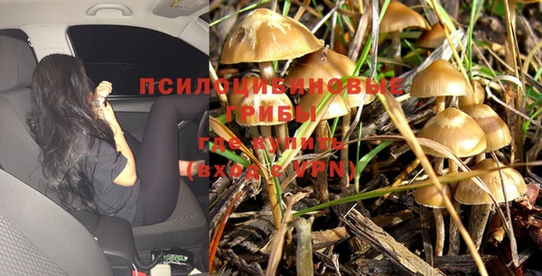 скорость Алексеевка